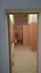 Hala de inchiriat Medias